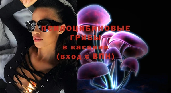 прущие крисы Новокубанск