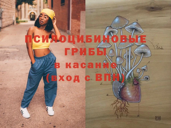 прущие крисы Новокубанск